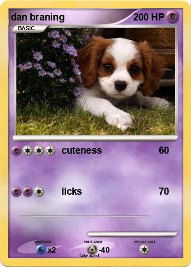 Pokemon dan braning