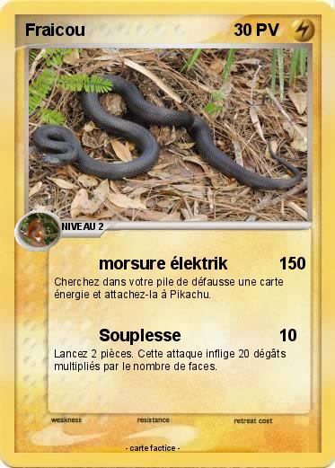 Pokemon Fraicou