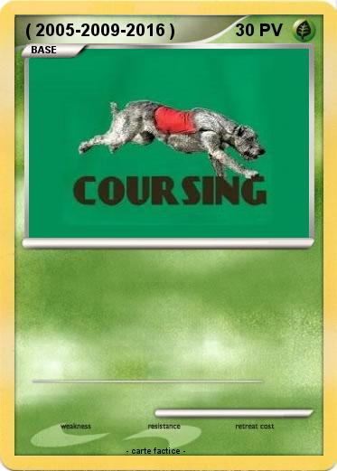 Pokemon ( 2005-2009-2016 )