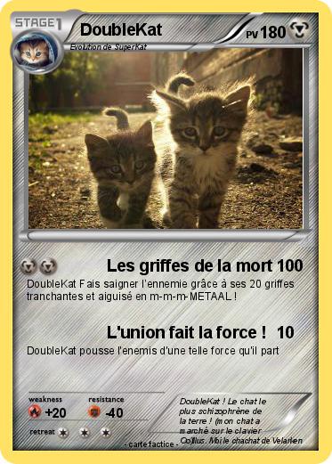Pokemon DoubleKat