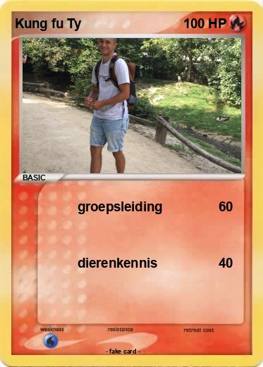 Pokemon Kung fu Ty