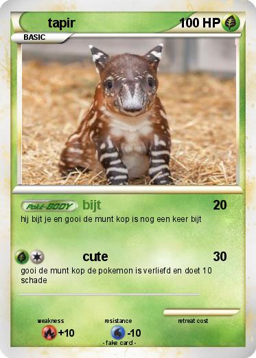 Pokemon tapir