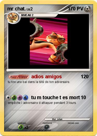 Pokemon mr chat.