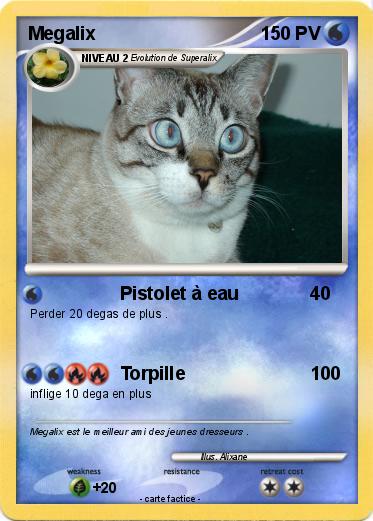 Pokemon Megalix