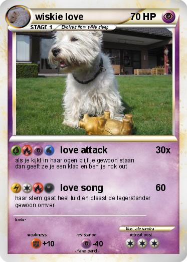 Pokemon wiskie love