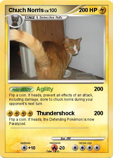 Pokemon Chuch Norris