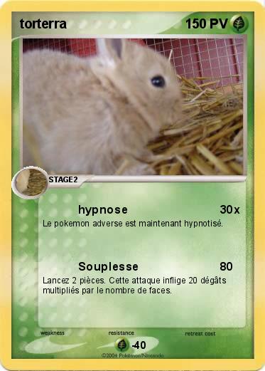 Pokemon torterra