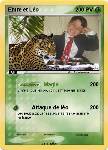 Pokemon Emre et Léo