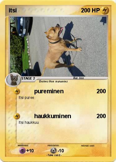 Pokemon itsi