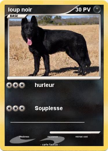 Pokemon loup noir