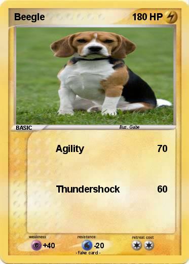 Pokemon Beegle