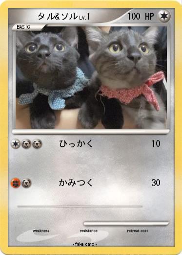 Pokemon 　　　タル&ソル