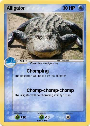 Pokemon Alligator
