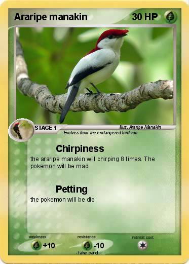 Pokemon Araripe manakin