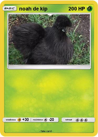 Pokemon noah de kip