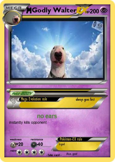 Pokemon Godly Walter