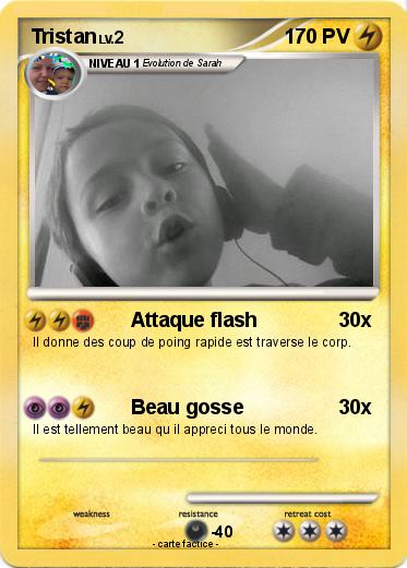 Pokemon Tristan