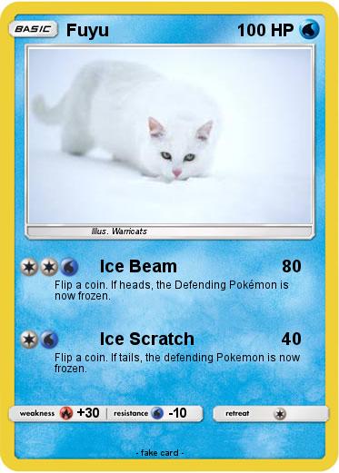 Pokemon Fuyu