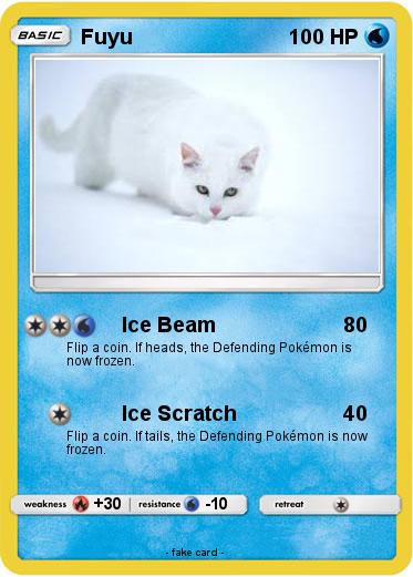 Pokemon Fuyu