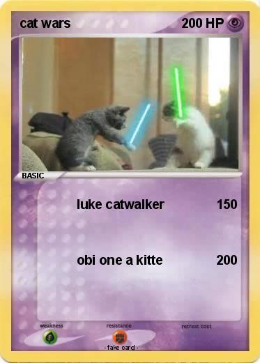 Pokemon cat wars
