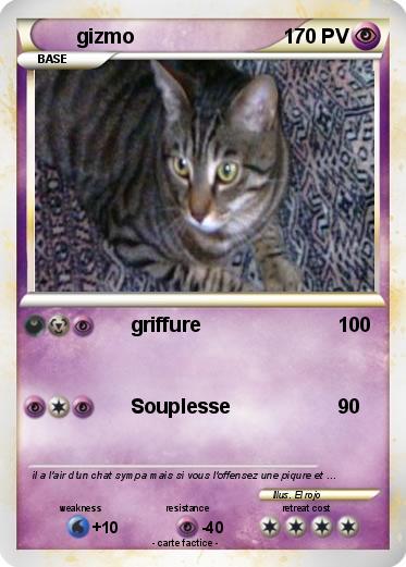 Pokemon gizmo