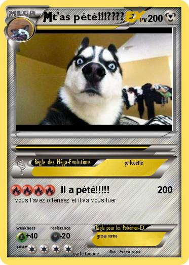 Pokemon t'as pété!!!????