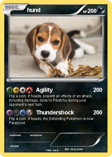 Pokemon hund