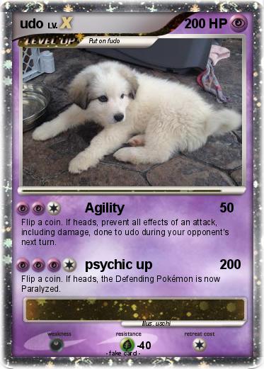 Pokemon udo