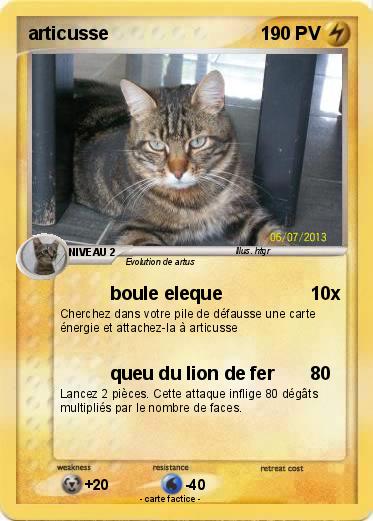 Pokemon articusse