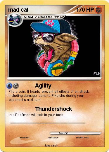 Pokemon mad cat