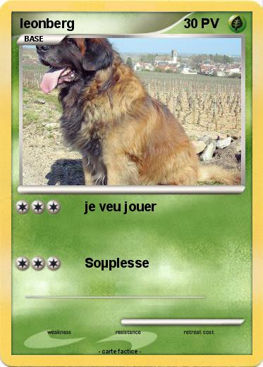 Pokemon leonberg