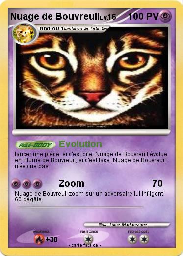 Pokemon Nuage de Bouvreuil
