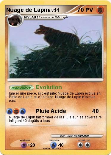 Pokemon Nuage de Lapin