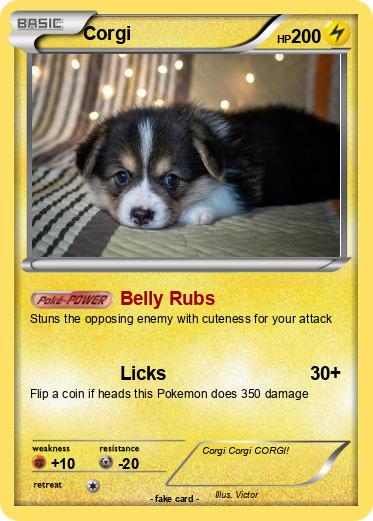 Pokemon Corgi