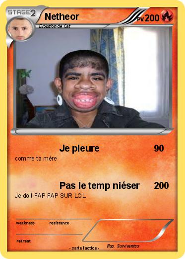 Pokemon Netheor