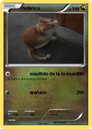 Pokemon federico