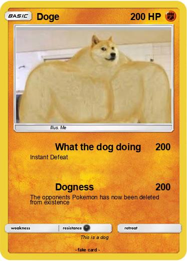 Pokemon Doge