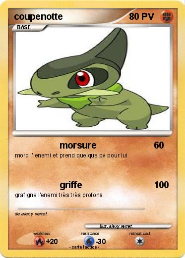 Pokemon coupenotte