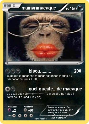 Pokemon mamanmacaque