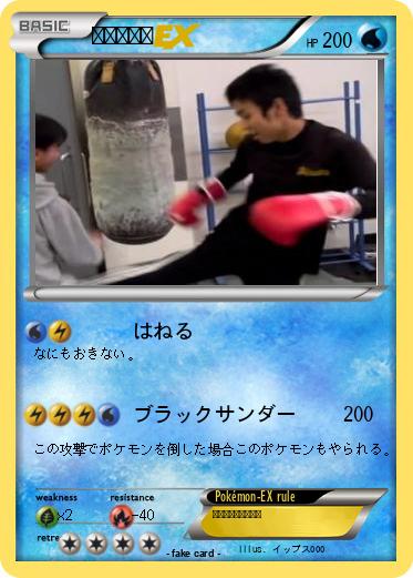 Pokemon クロタイガ