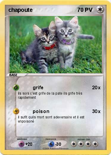 Pokemon chapoute