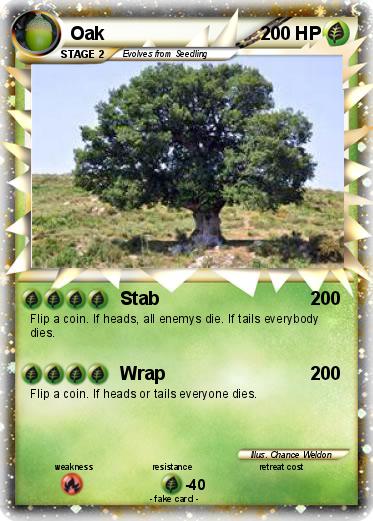 Pokemon Oak