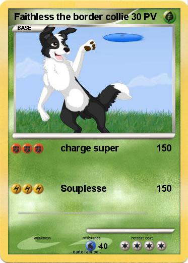 Pokemon Faithless the border collie