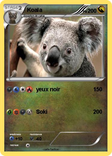Pokemon Koala