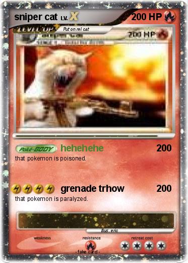 Pokemon sniper cat