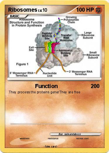 Pokemon Ribosomes