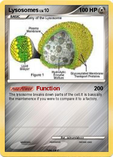 Pokemon Lysosomes