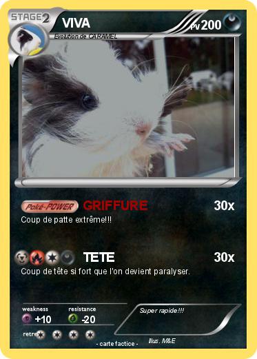 Pokemon VIVA