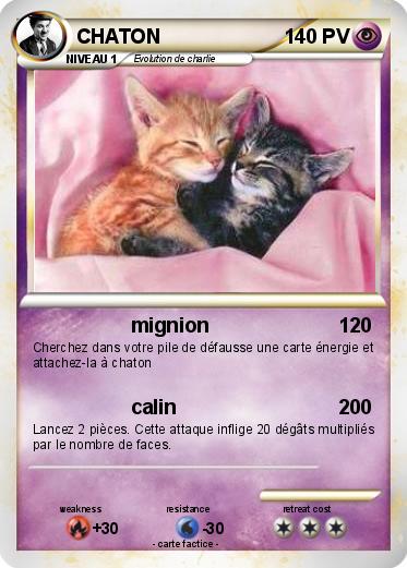 Pokemon CHATON
