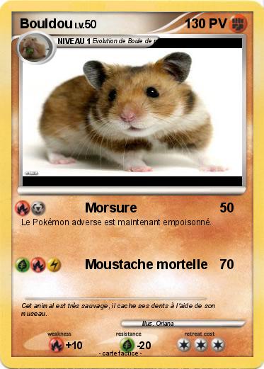 Pokemon Bouldou